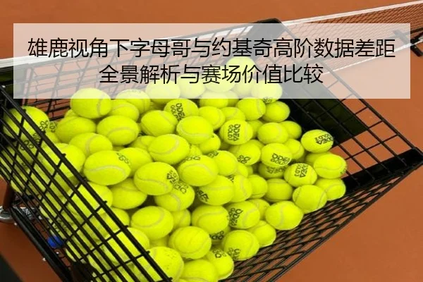 雄鹿视角下字母哥与约基奇高阶数据差距全景解析与赛场价值比较