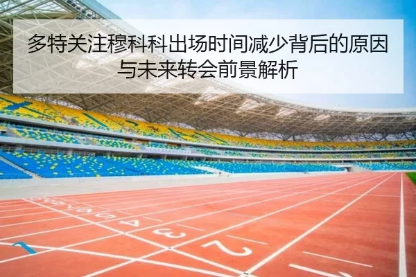 多特关注穆科科出场时间减少背后的原因与未来转会前景解析