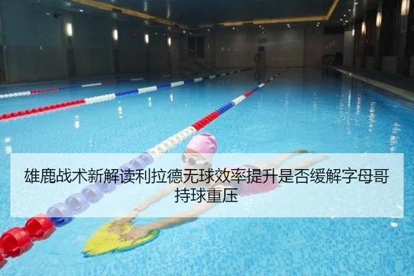 雄鹿战术新解读利拉德无球效率提升是否缓解字母哥持球重压